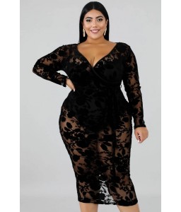 Black Sheer V Neck Sexy Bodycon Plus Size Lace Dress